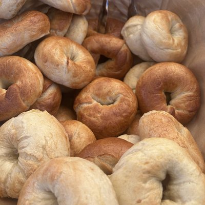 Ten Plain Bagels
