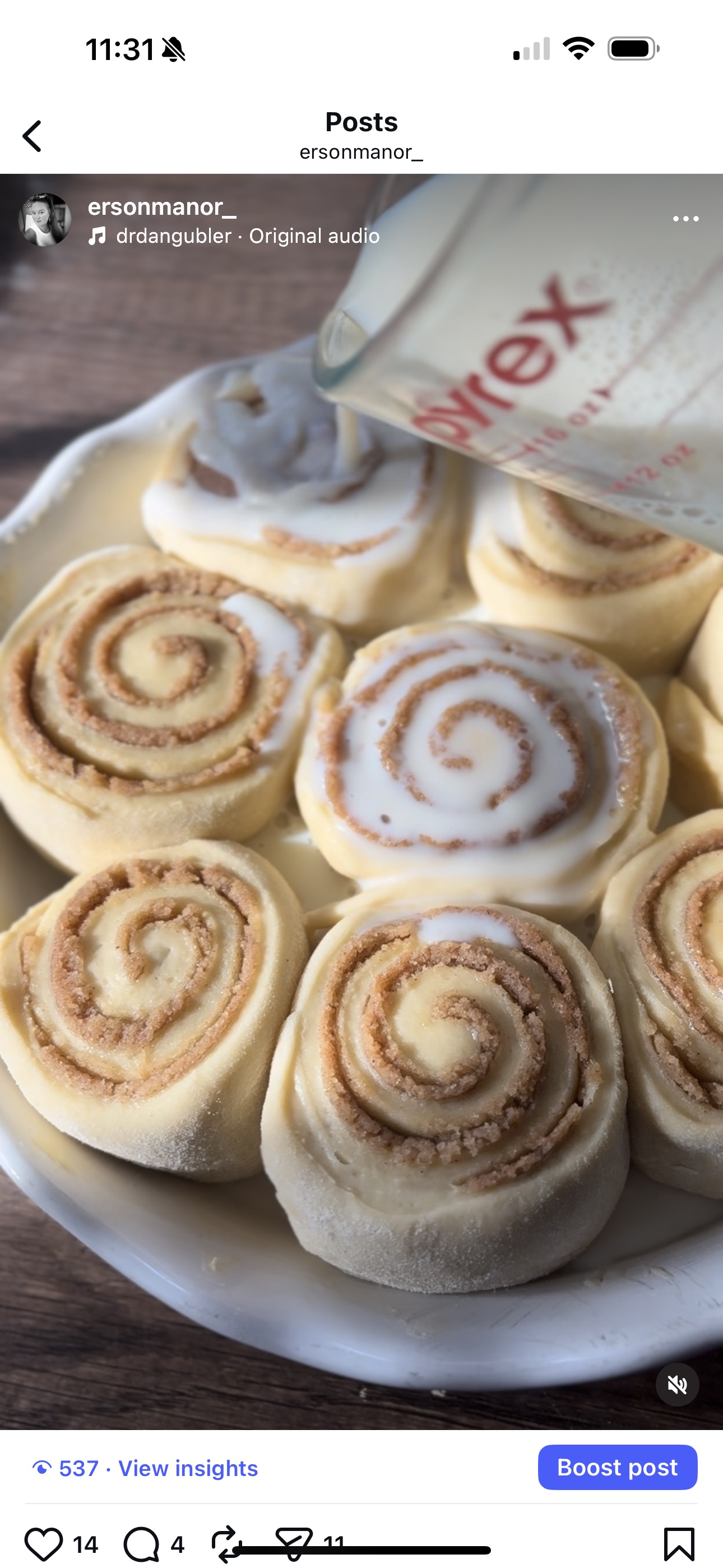 Sourdough Cinnamon Rolls / 8