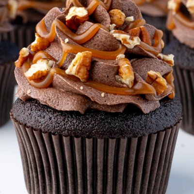 Turtle Cupcake