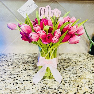 Tulips 🌷 