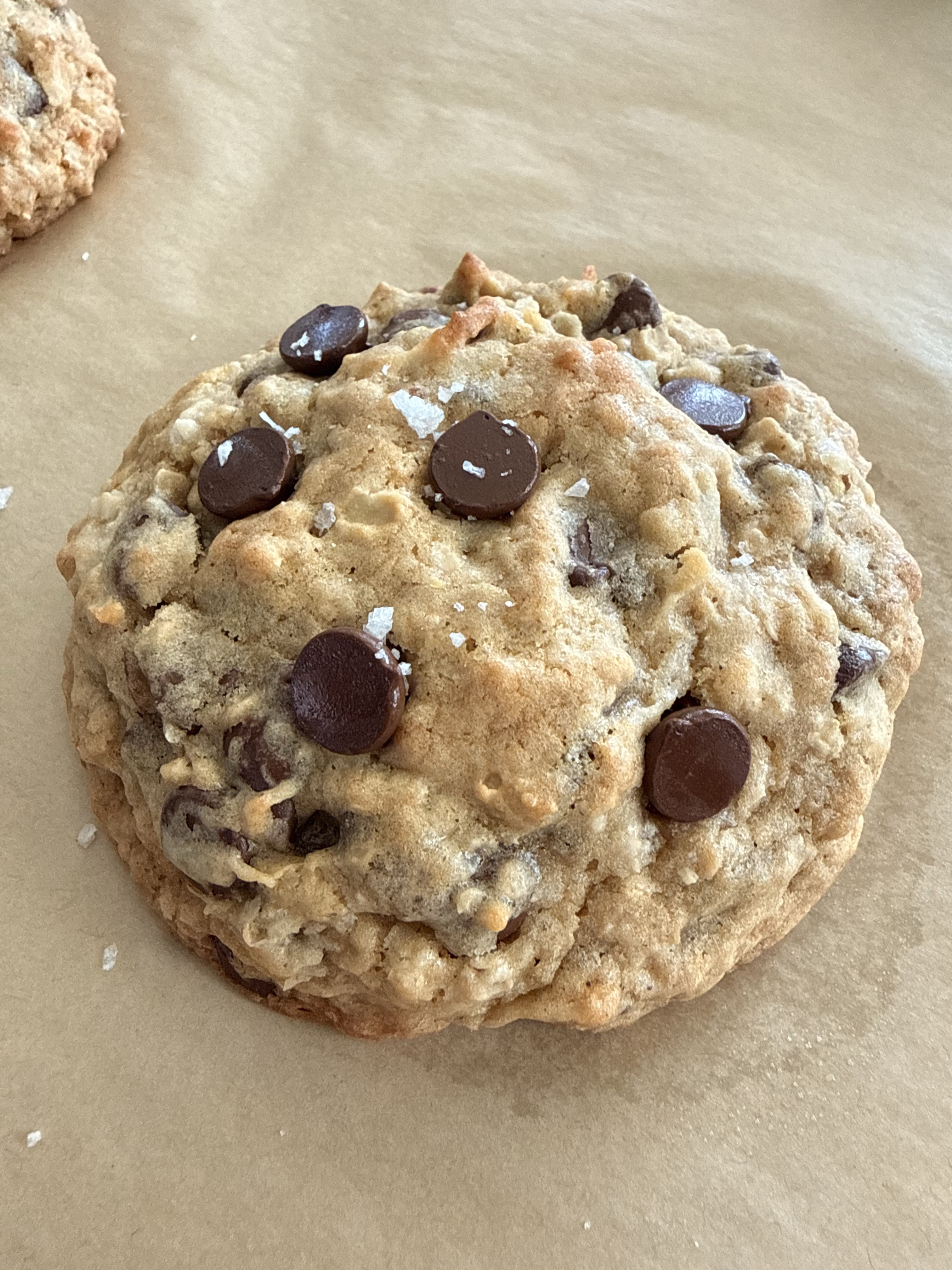 Sugar Shell Treasure Cookie 6 Pack 🍪✨