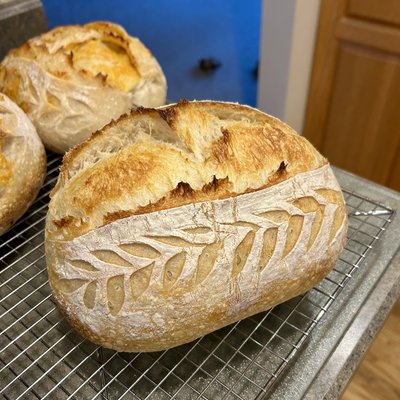 Sourdough Bread - Plain