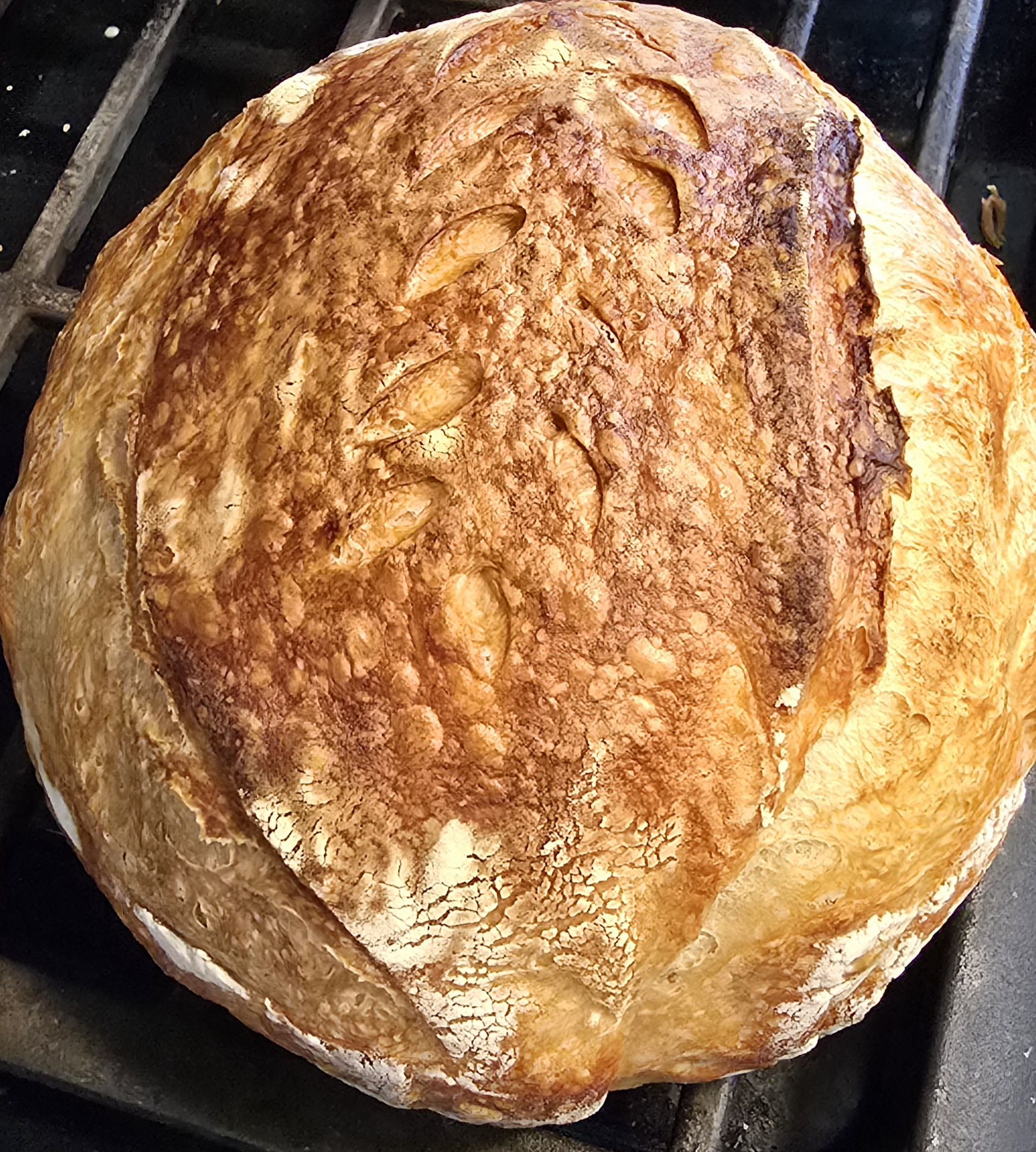 Sourdough Artisan Plain Boule