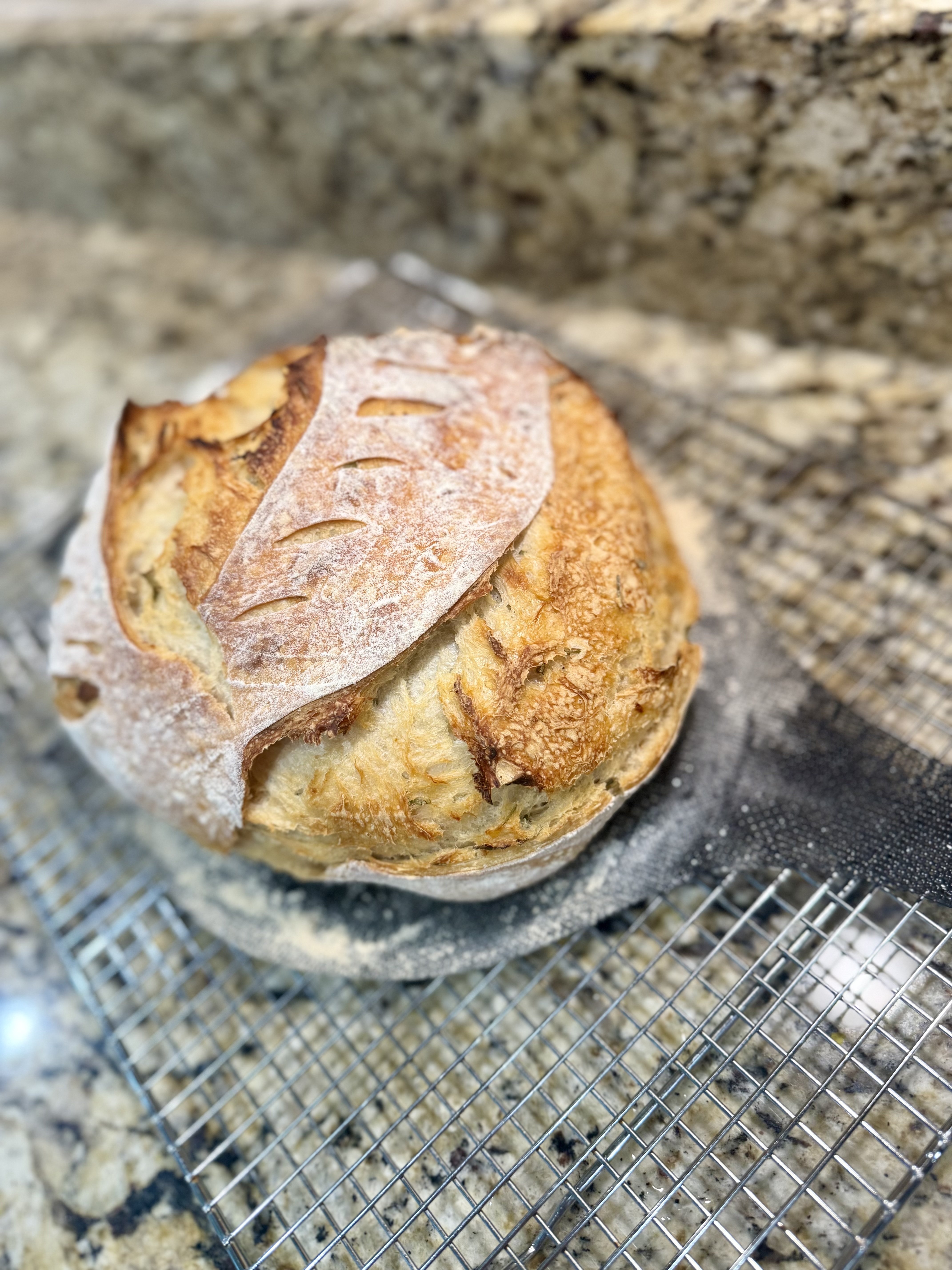 Rosemary Garlic Sourdough 