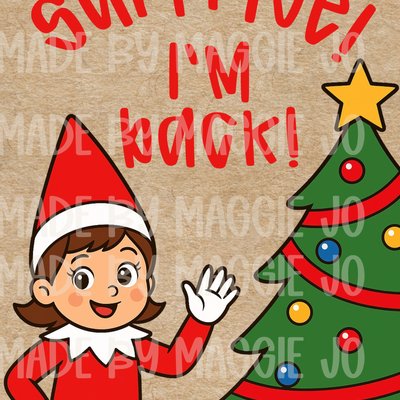 Surprise i’m Back Girl Elf Banner