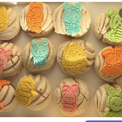 Hoppy Mini Conchas