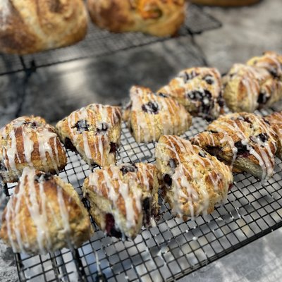Sourdough Scones - 4ct (indicate flavor in Notes)