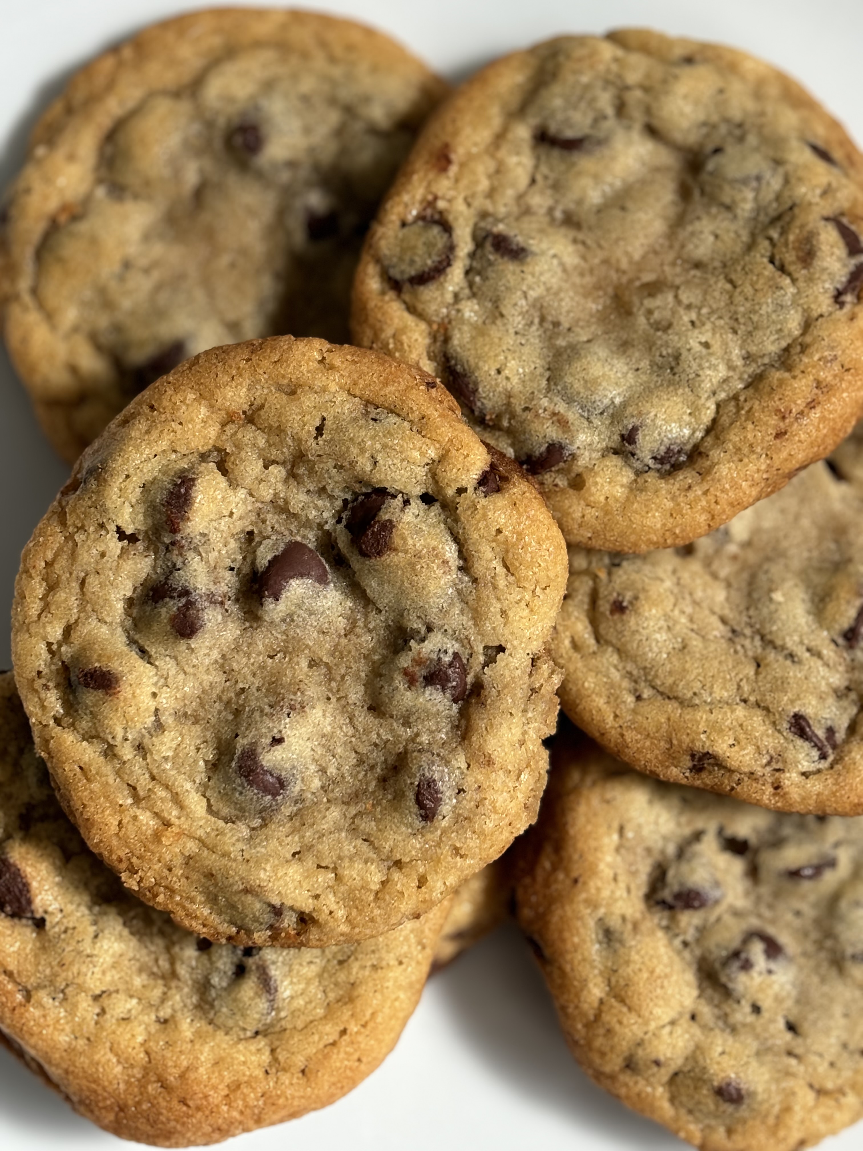 Signature Chocolate Chip