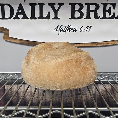 Gluten Free Sourdough 