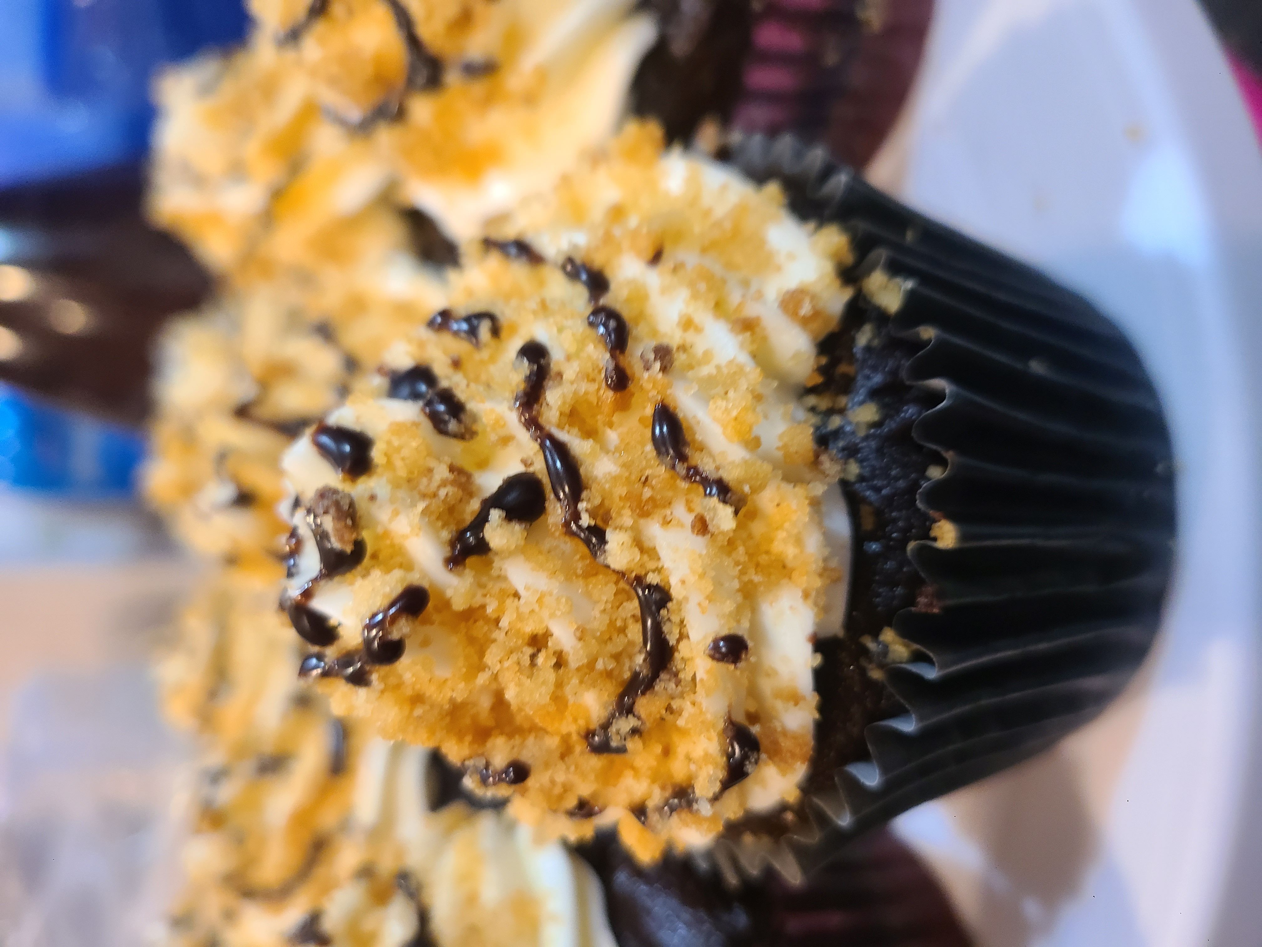 Specialty Cupcakes 
