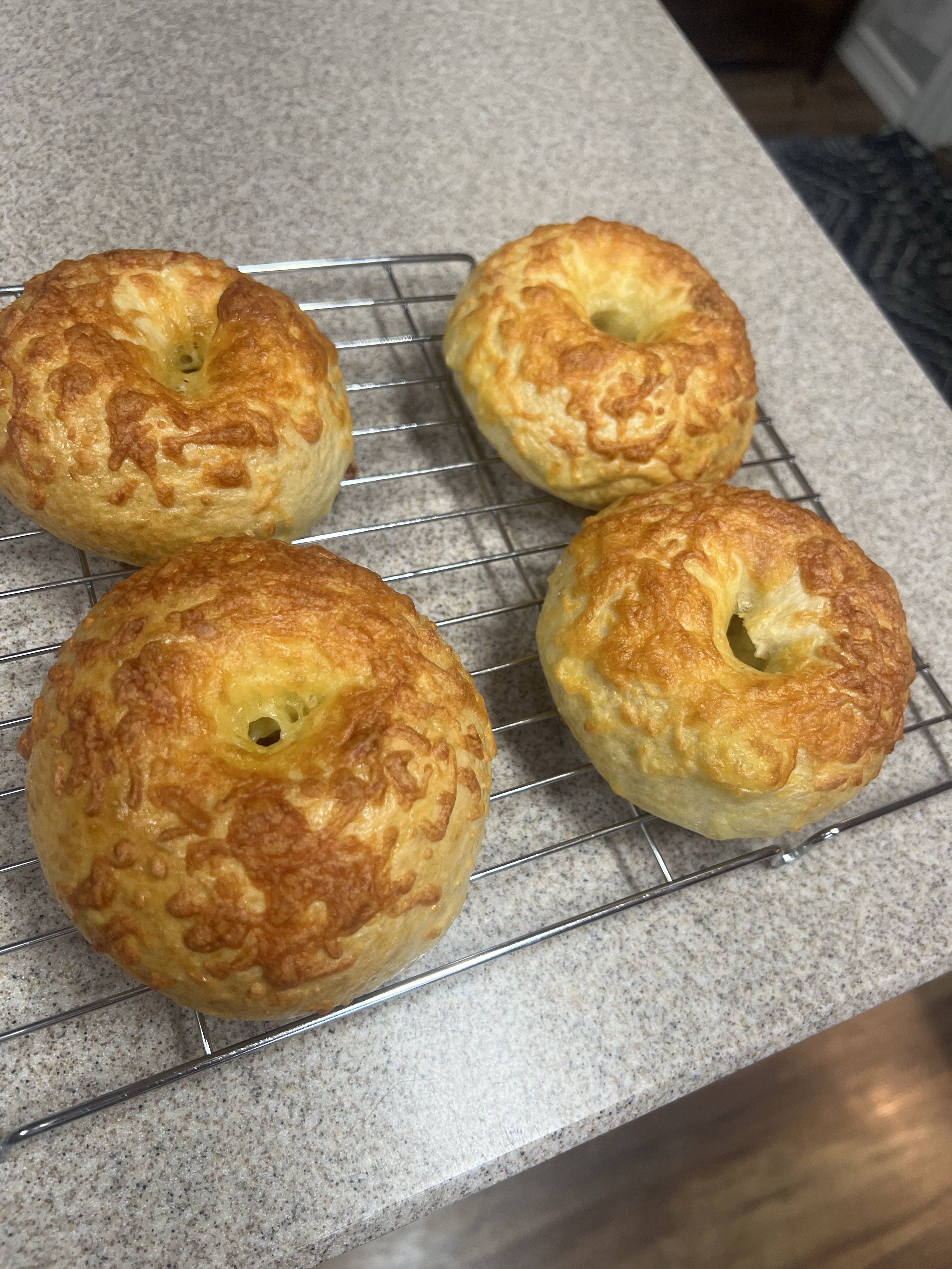 Cheddar Bagels