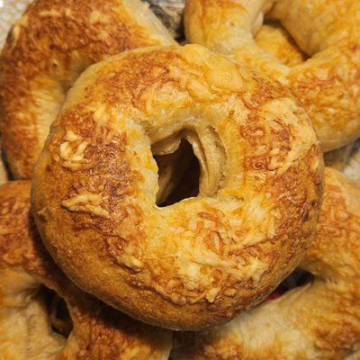 Asiago Bagels- 1 Dozen