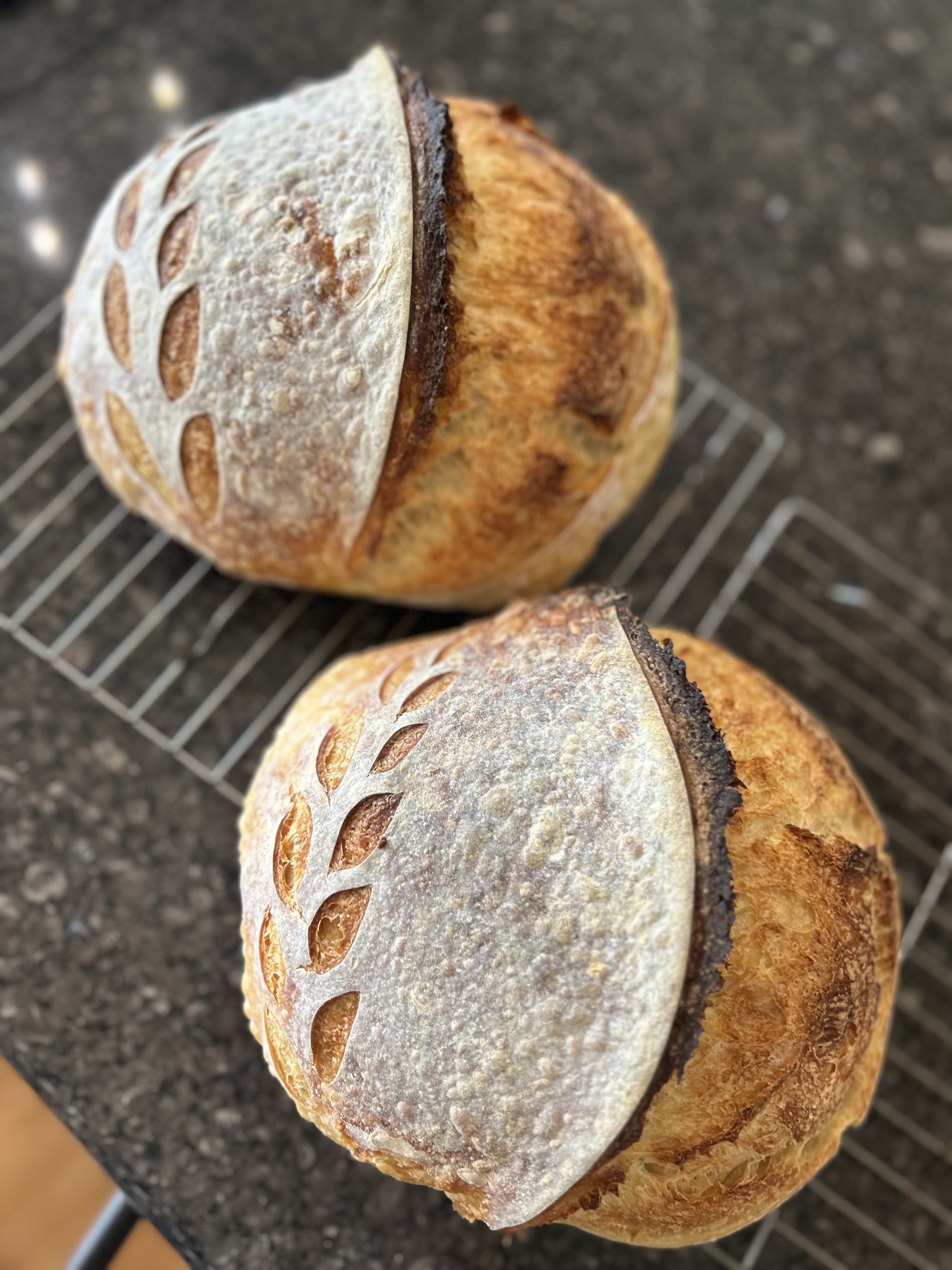 Classic Sourdough 