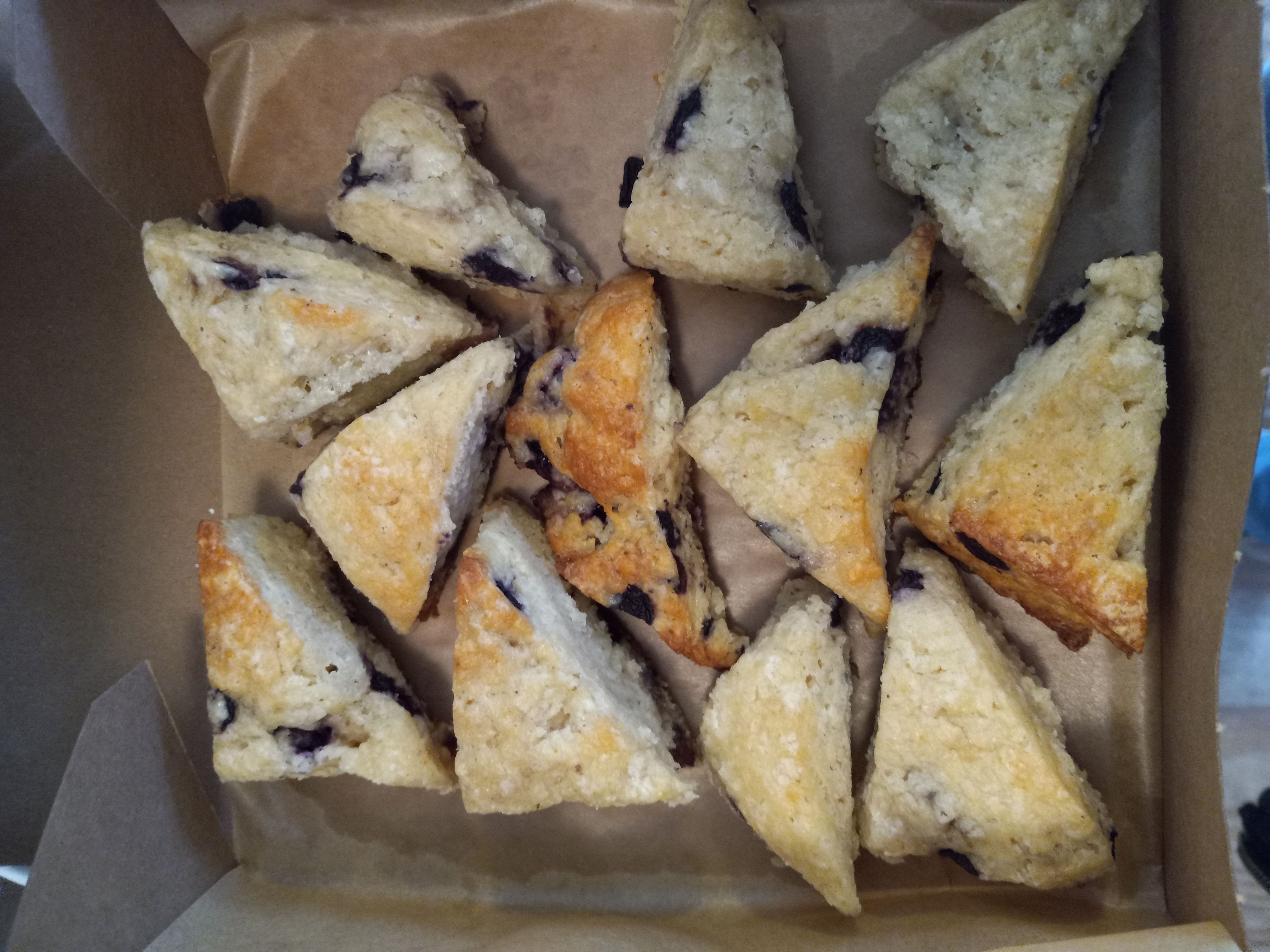 Blueberry Scones  - 12 
