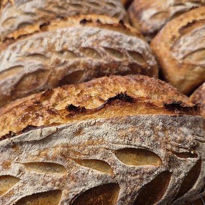 Sourdough Bread (Regular) 