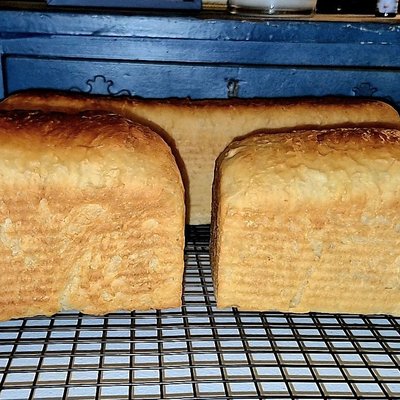 Sandwich Bread 