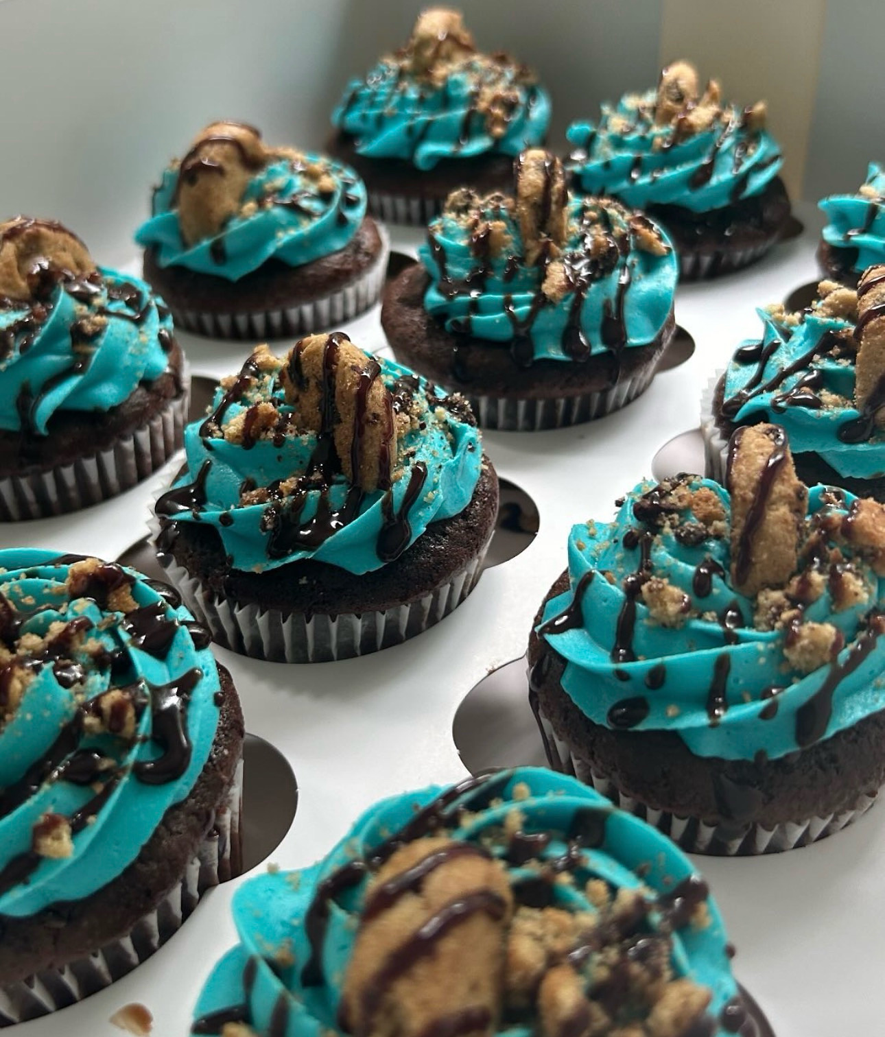 DOZEN Cookie Monster💙🍪