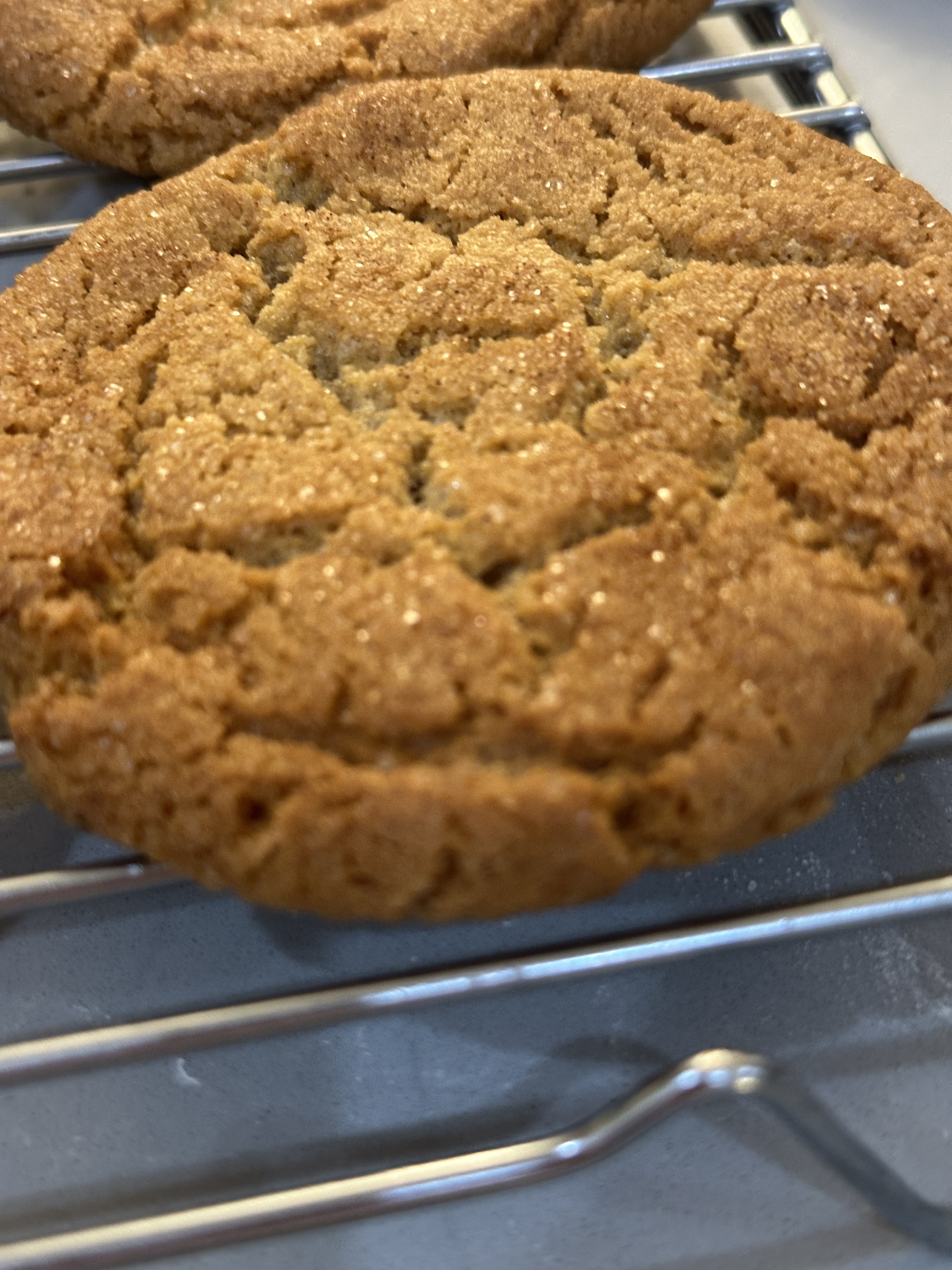 Individual Snickerdoodle Cookies