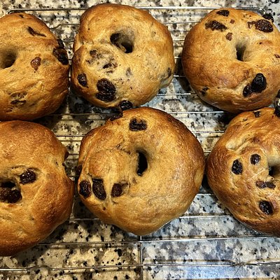 Cinnamon Raisin Sourdough Bagel  6 Pack 