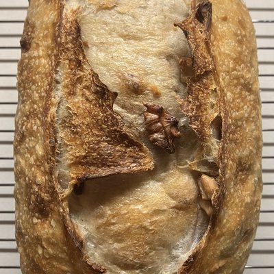 Honey Walnut (Sourdough)