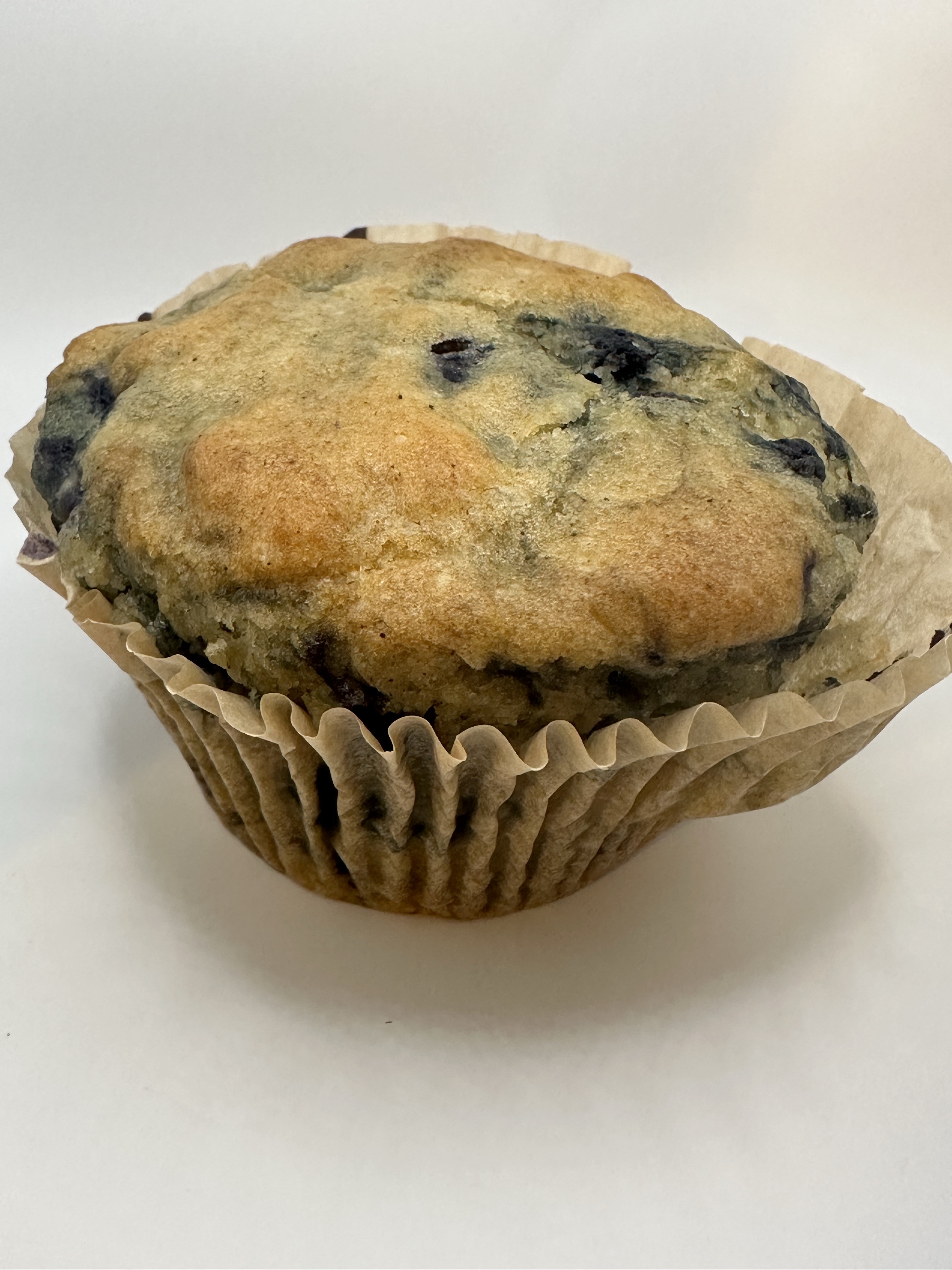 Blueberry Muffin