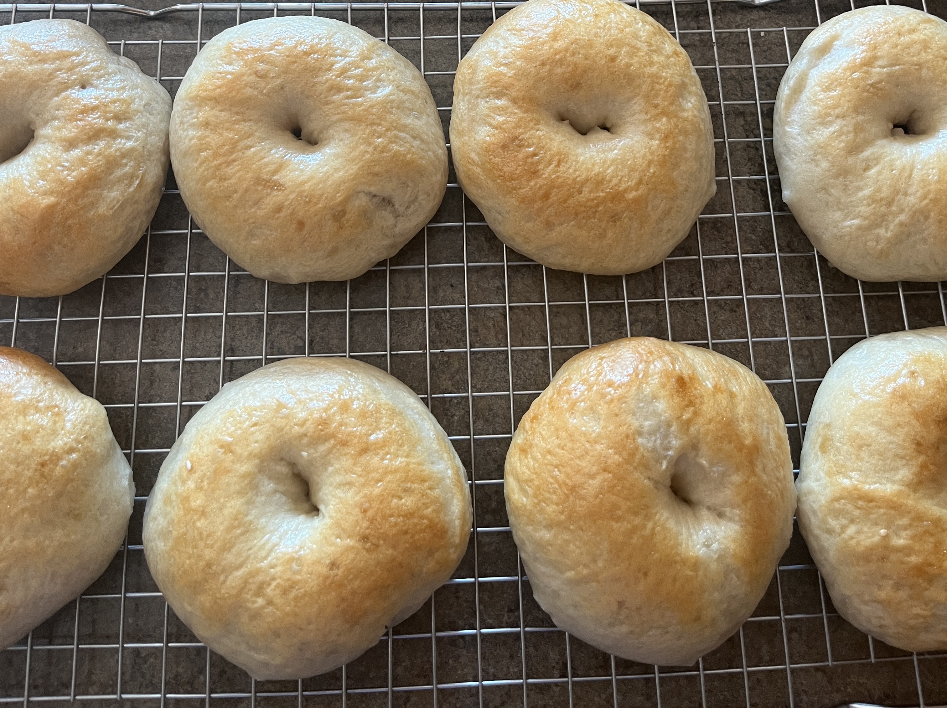 Plain Bagels (8)
