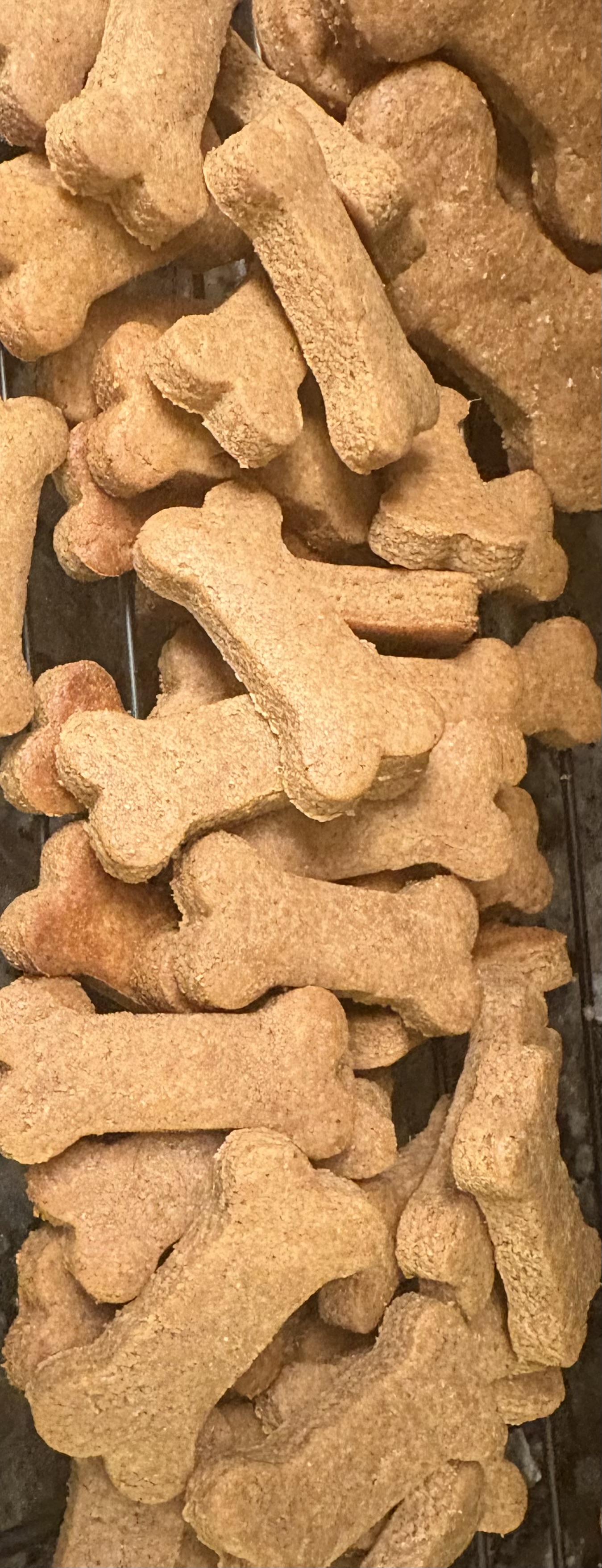 Training Treats Peanut Butter