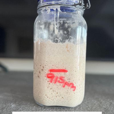 Mature Sourdough Starter, 50g