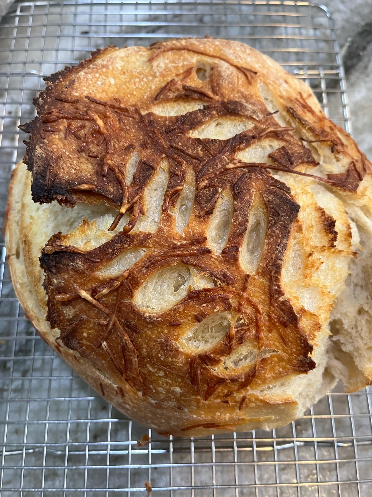 Garlic Parmesan Or Rosemary Herb Sourdough Loaf (Boule) 