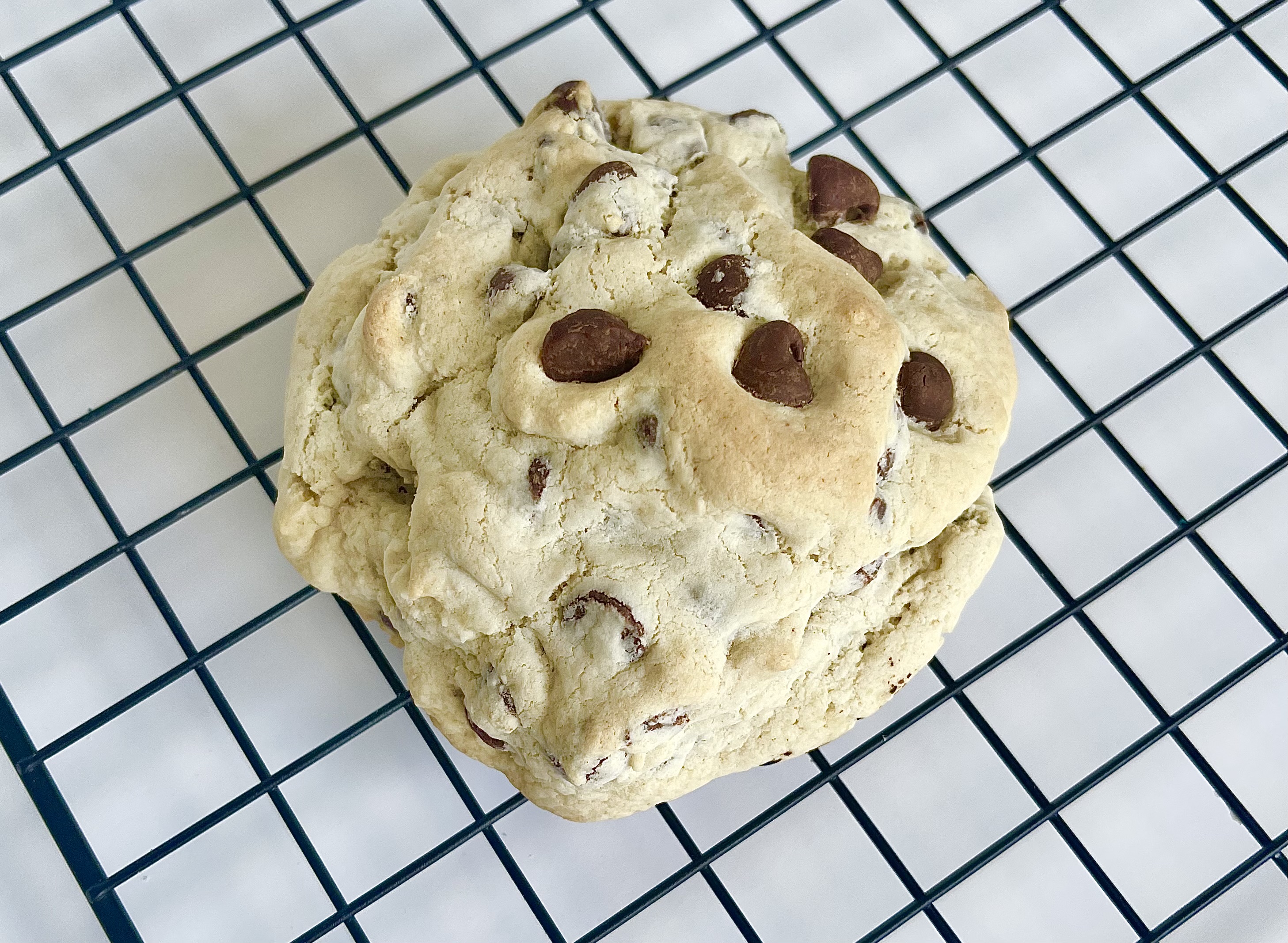 Giant Chocolate Chip Cookie 