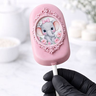 Custom Chocolate Covered Cake Sicles (12)