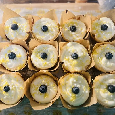 Sourdough Blueberry Lemon Cupcakes 