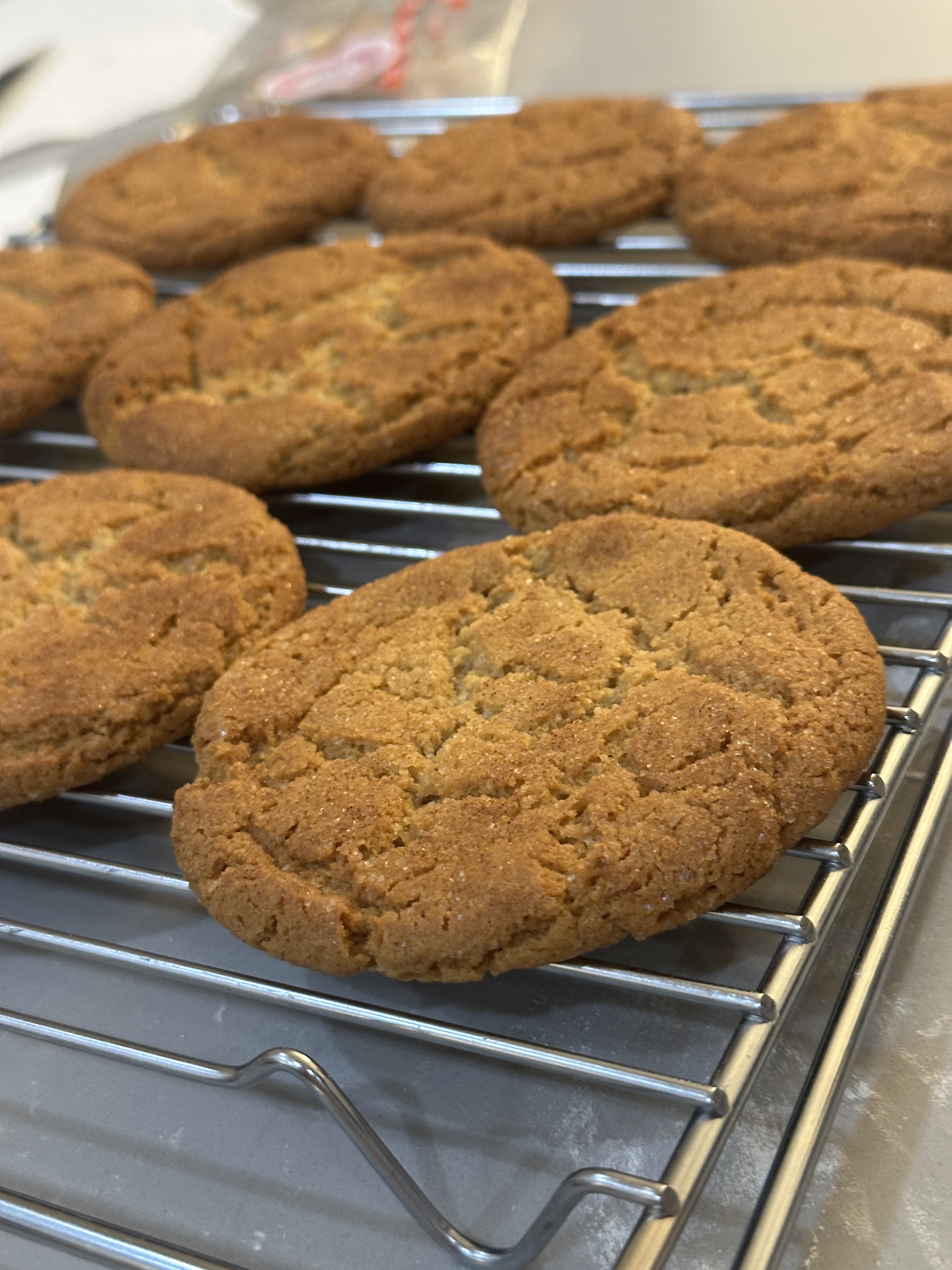 1 Dozen Snickerdoodle Cookies 