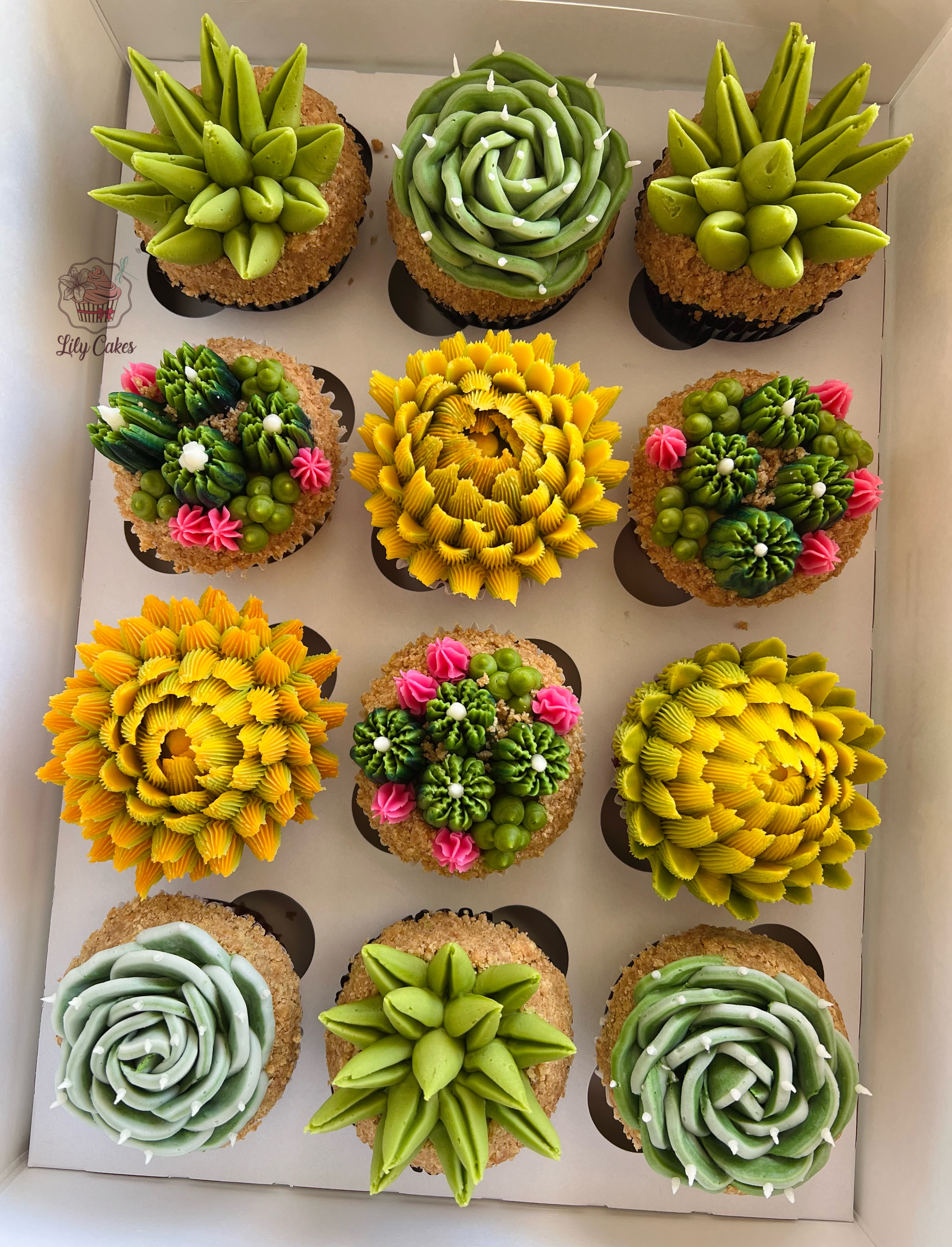 Succulents Cupcakes🪴