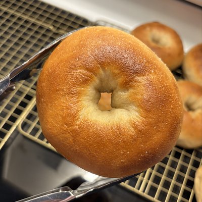 Sourdough Plain Bagel •6•