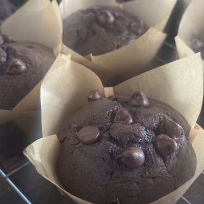 Double Chocolate Sourdough Muffins