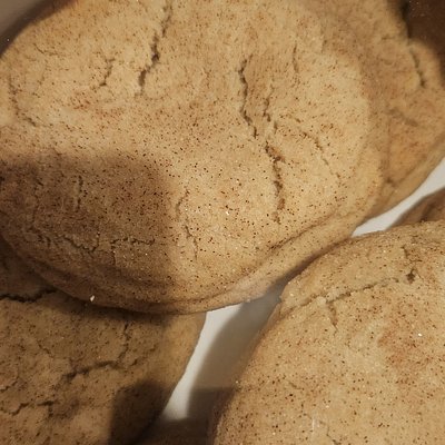 1 Doz 4 Ounce Snickerdoodles