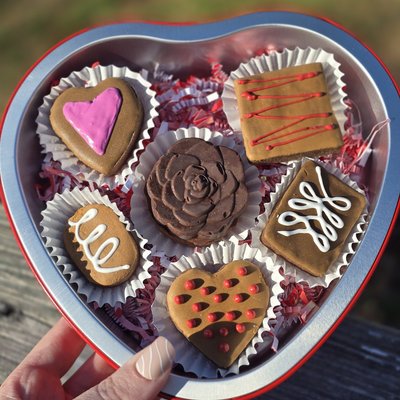 Not So Chocolates 
