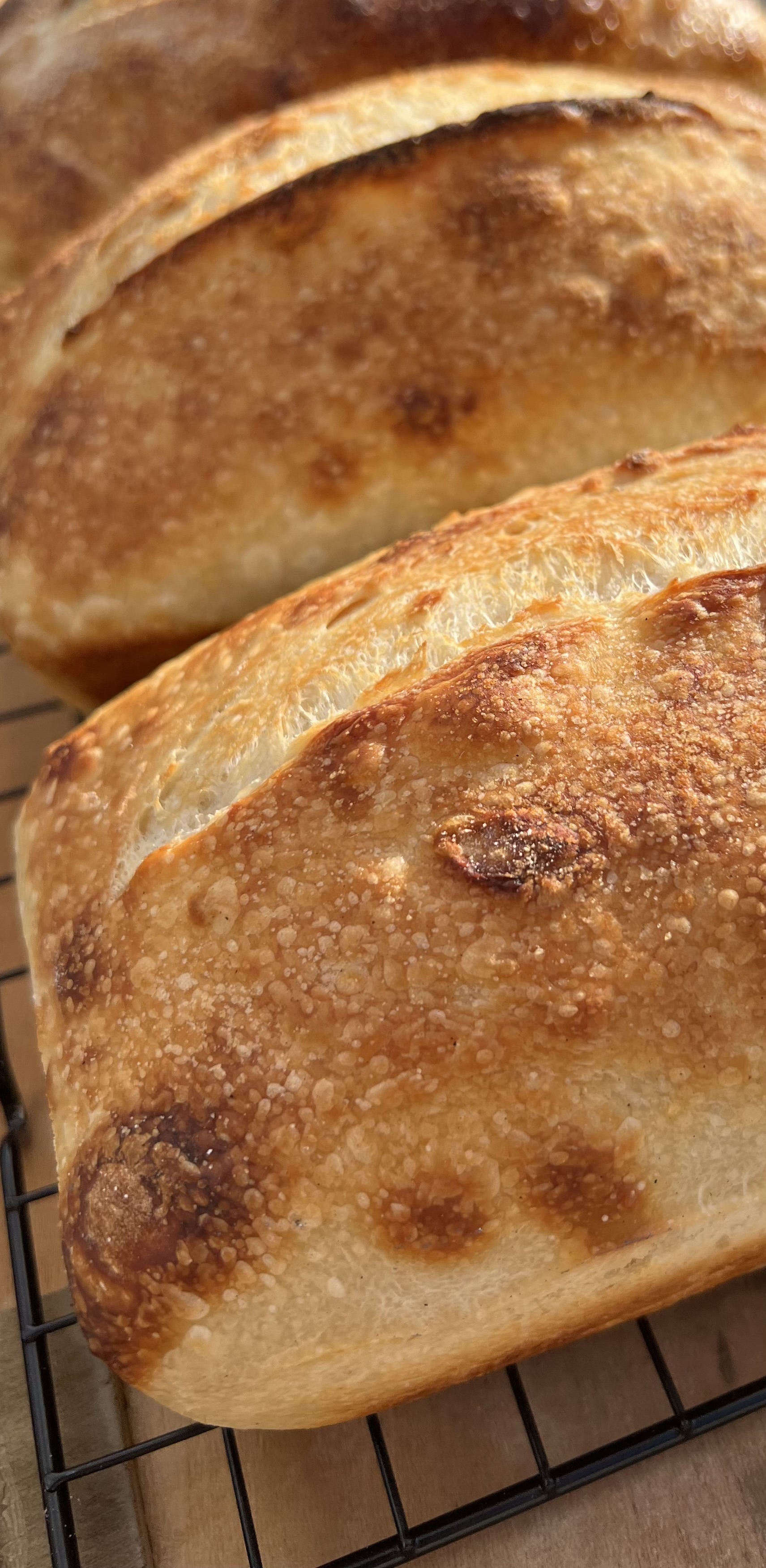 Classic Sourdough Loaf