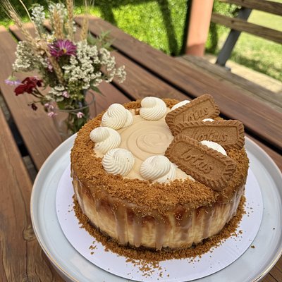 Biscoff Cheesecake
