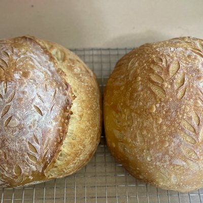 Traditional Sourdough 