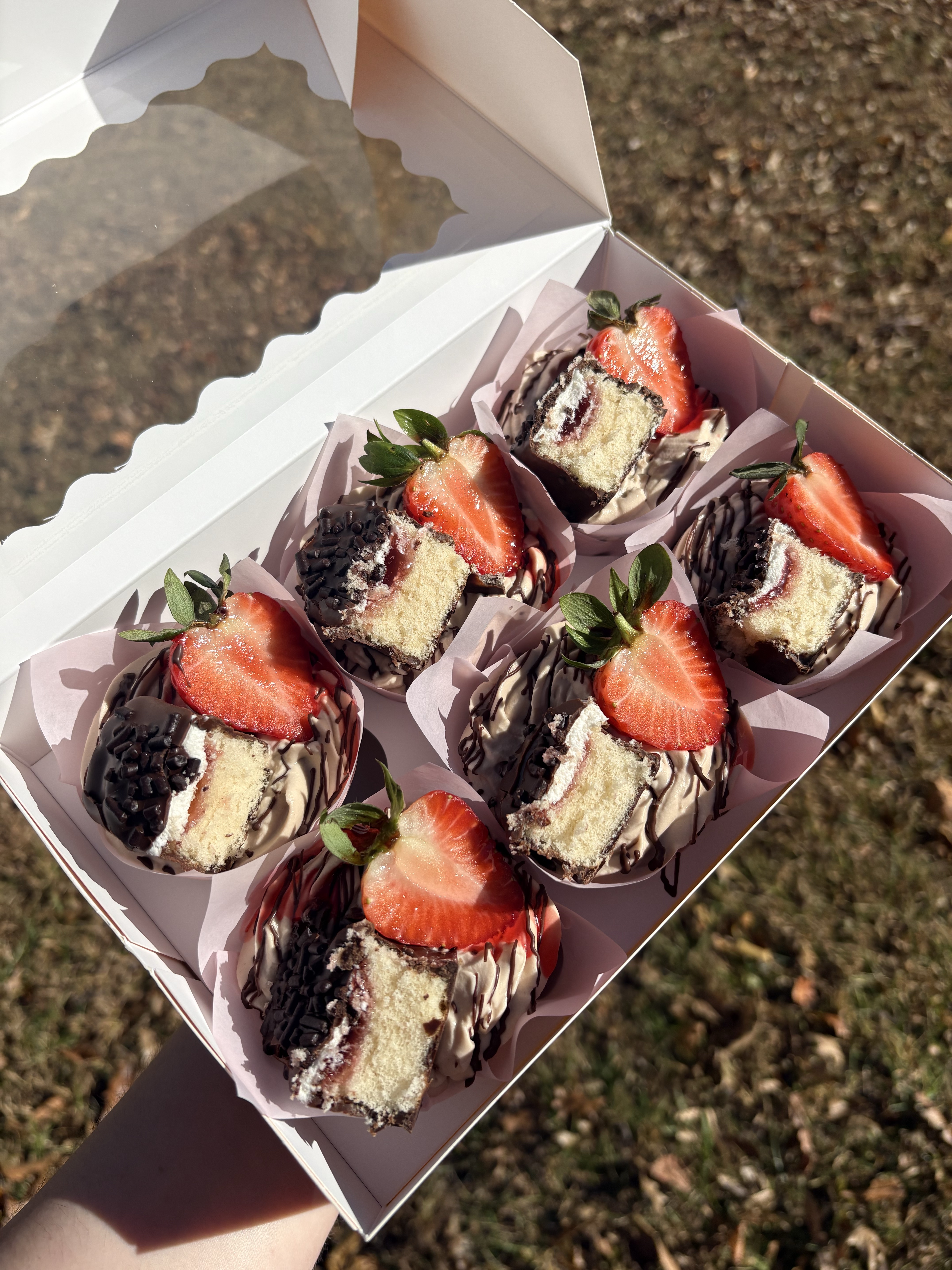 6CT Sweet Gansito Dreams🍫🍓✨