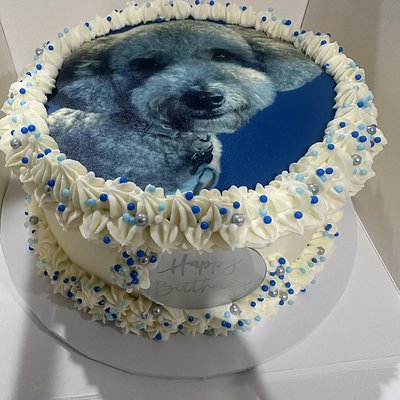 Pup Cakes