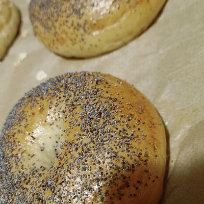 Poppy Seed Bagel