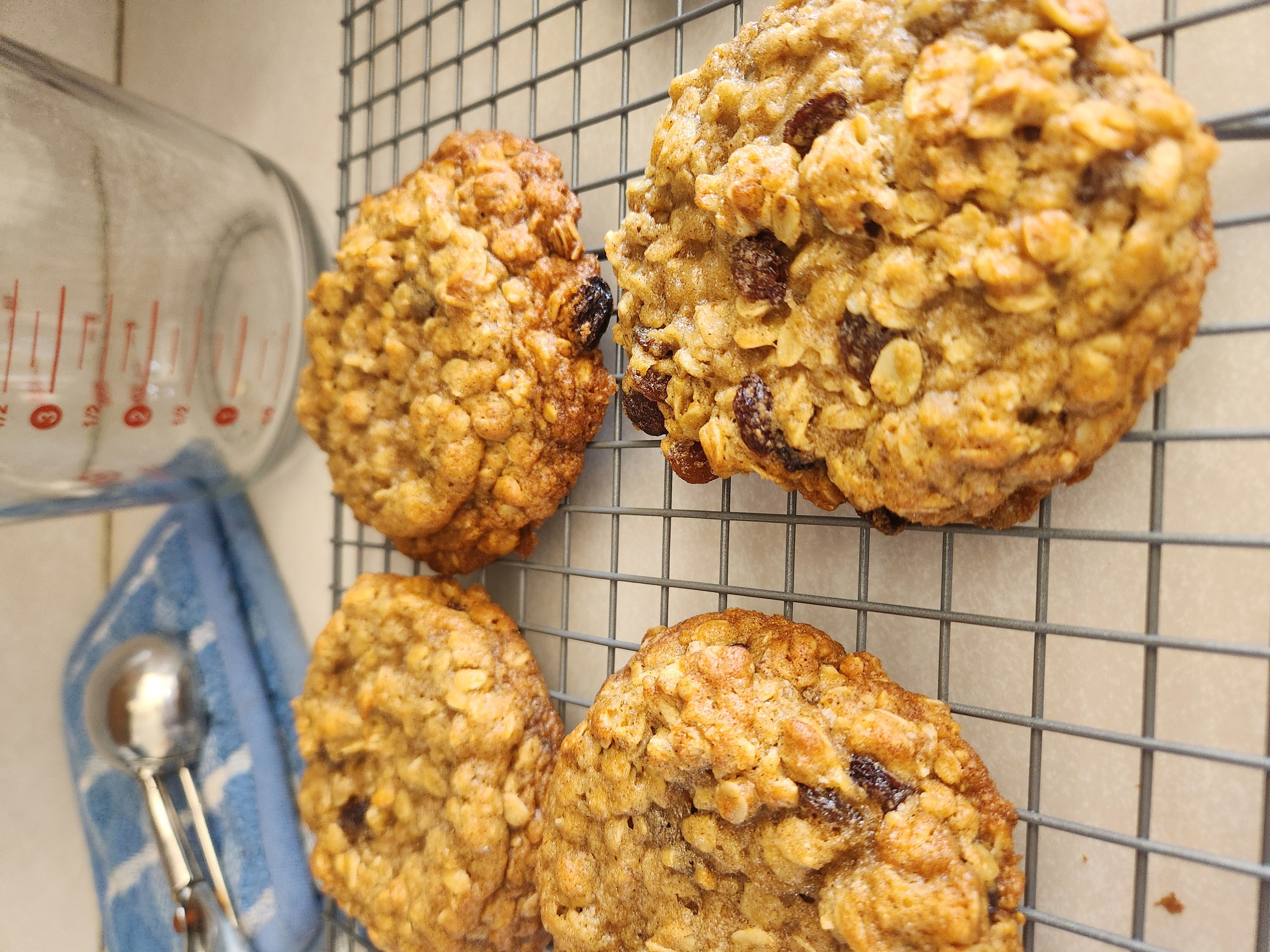 Oatmeal Raisin Cookies