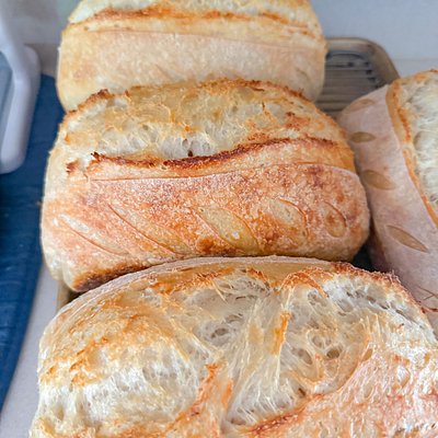 Plain Sourdough 