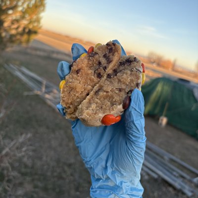 Peanut Butter Chocolate chip 