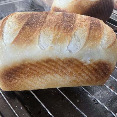 Sourdough Sandwich Loaf 