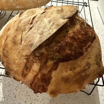 Cheese And Chive Sourdough