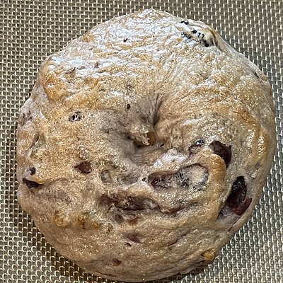 Cranberry Walnut Bagels (8)